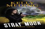 Stray Moon