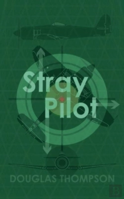 Bertrand.pt - Stray Pilot