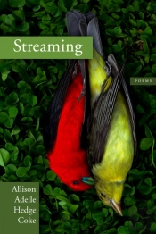 Streaming