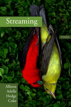 Bertrand.pt - Streaming