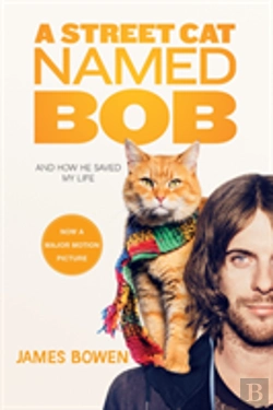 Bertrand.pt - Street Cat Named Bob