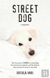 Street Dog