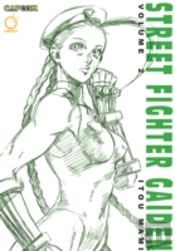 Street Fighter Gaiden Volume 2