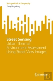 Street Sensing