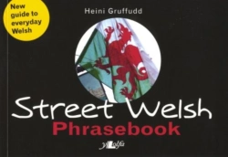 Bertrand.pt - Street Welsh - Phrasebook