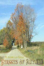 Streets Of Autumn