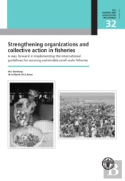 Strengthening Organizations And Collective Action In Fisheries