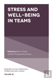 Stress And Well-Being In Teams