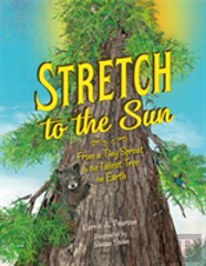 Stretch To The Sun