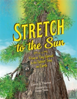 Bertrand.pt - Stretch To The Sun