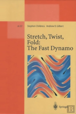 Bertrand.pt - Stretch, Twist, Fold: The Fast Dynamo
