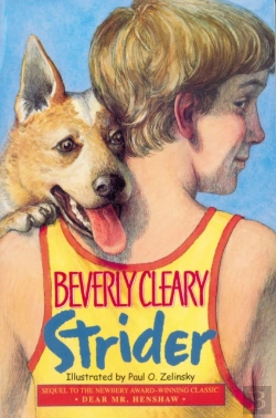 Bertrand.pt - Strider
