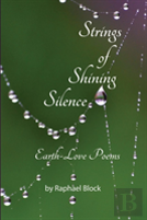 Strings Of Shining Silence