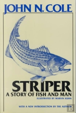 Bertrand.pt - Striper