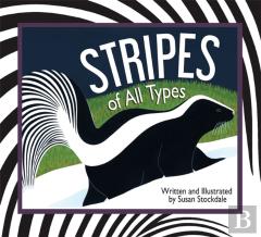 Stripes Of All Types