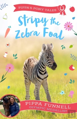 Bertrand.pt - Stripy The Zebra Foal