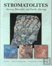 Stromatolites