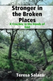 Stronger In The Broken Places