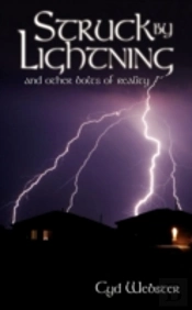 Struck By Lightning And Other Bolts Of Reality