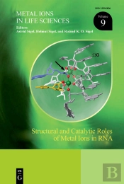 Structural And Catalytic Roles Of Metal Ions In Rna