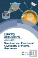 Structural And Functional Asymmetry Of Plasma Membranes