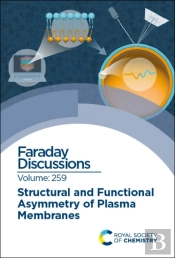 Structural And Functional Asymmetry Of Plasma Membranes