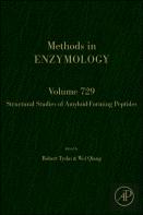 Structural Studies Of Amyloid-Forming Peptides