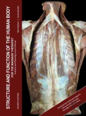 Structure And Function Of The Human Body For The Massage Therapist