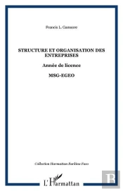Structure Et Organisation Des Entreprises - Annee De Licence - Msg-Egeo