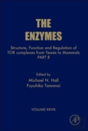 Structure, Function And Regulation Of Tor Complexes From Yeasts To Mammals