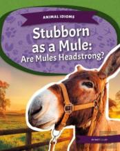 Stubborn As A Mule