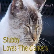 Stubby Loves The Camera