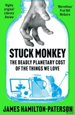 Bertrand.pt - Stuck Monkey