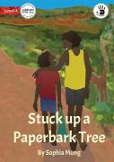 Stuck Up A Paperbark Tree