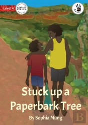Stuck Up A Paperbark Tree