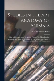 Studies In The Art Anatomy Of Animals (M