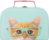 Studio Pets - RayBen