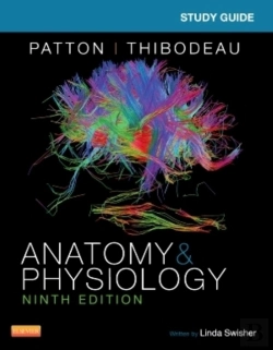 Bertrand.pt - Study Guide For Anatomy & Physiology