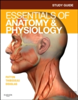 Bertrand.pt - Study Guide For Essentials Of Anatomy & Physiology