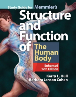 Bertrand.pt - Study Guide For Memmler'S Structure & Function Of The Human Body, Enhanced Edition