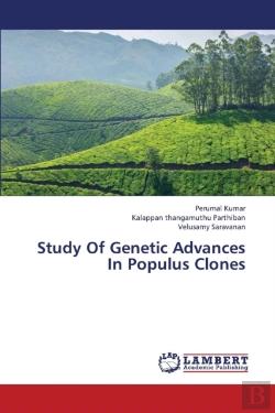 Bertrand.pt - Study Of Genetic Advances In Populus Clones
