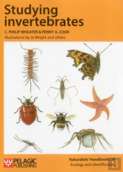 Bertrand.pt - Studying Invertebrates