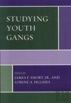 Studying Youth Gangs