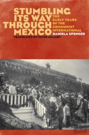 Stumbling Its Way Through Mexico