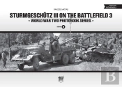 Sturmgeschutz Iii On The Battlefield 3