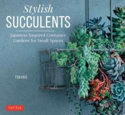 Bertrand.pt - Stylish Succulents
