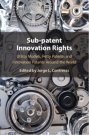 Sub-Patent Innovation Rights