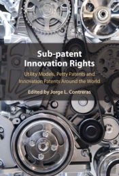 Sub-Patent Innovation Rights