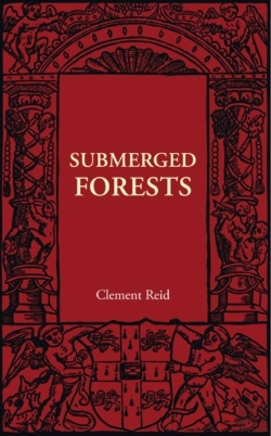 Bertrand.pt - Submerged Forests