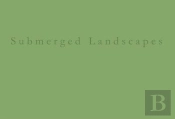 Submerged Landscapes: A Pinhole Photographic Tale
